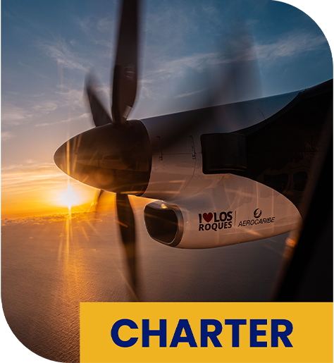 Charter